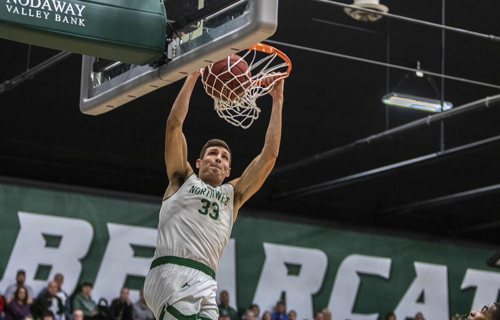Hawk Dunk